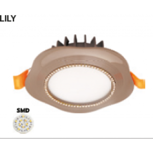 5+5 Downlight 2700K 